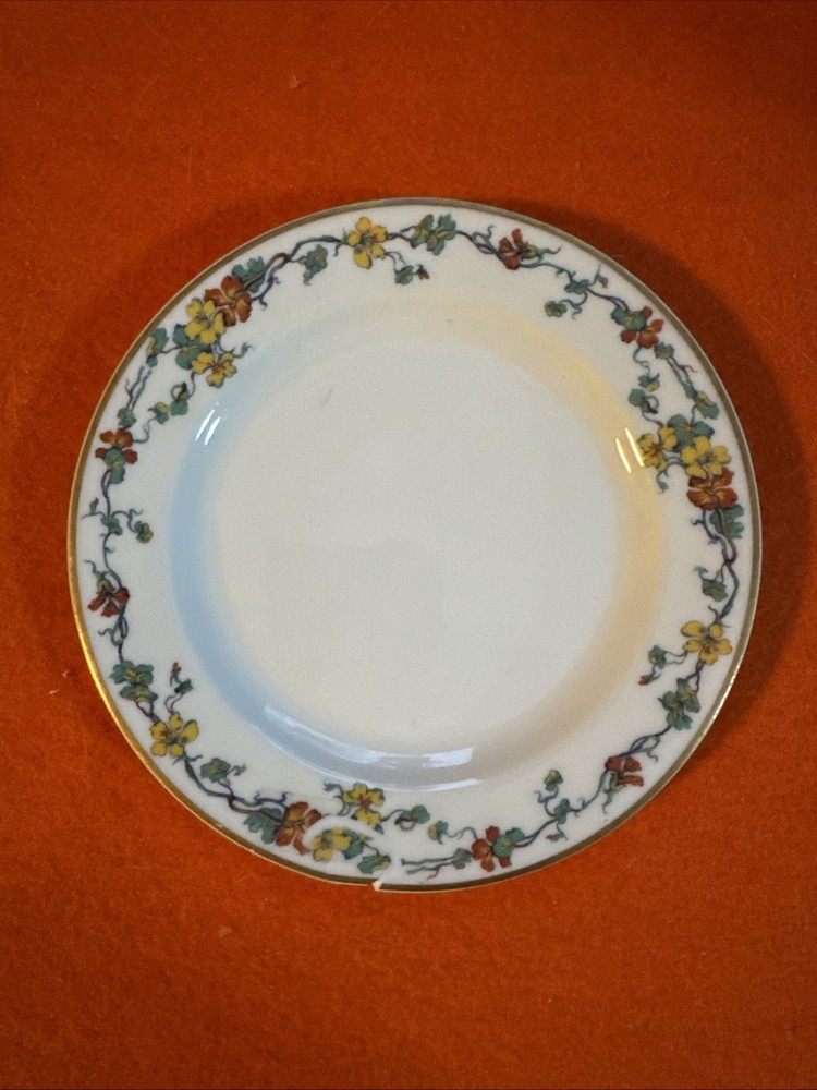 Vintage Limoges Nasturtium China Set