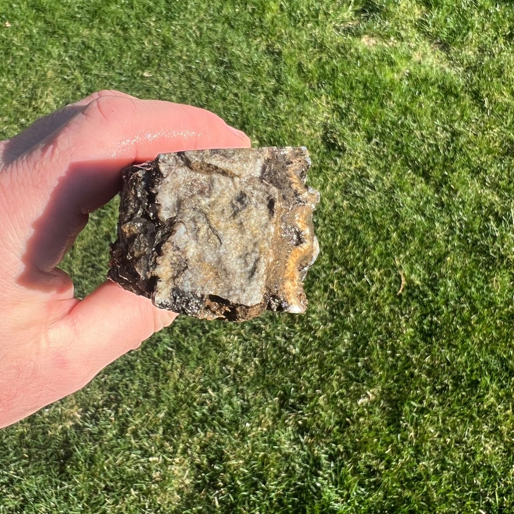 Liberty Ledge Agate Rough Faced Specimen 438gm (P19)