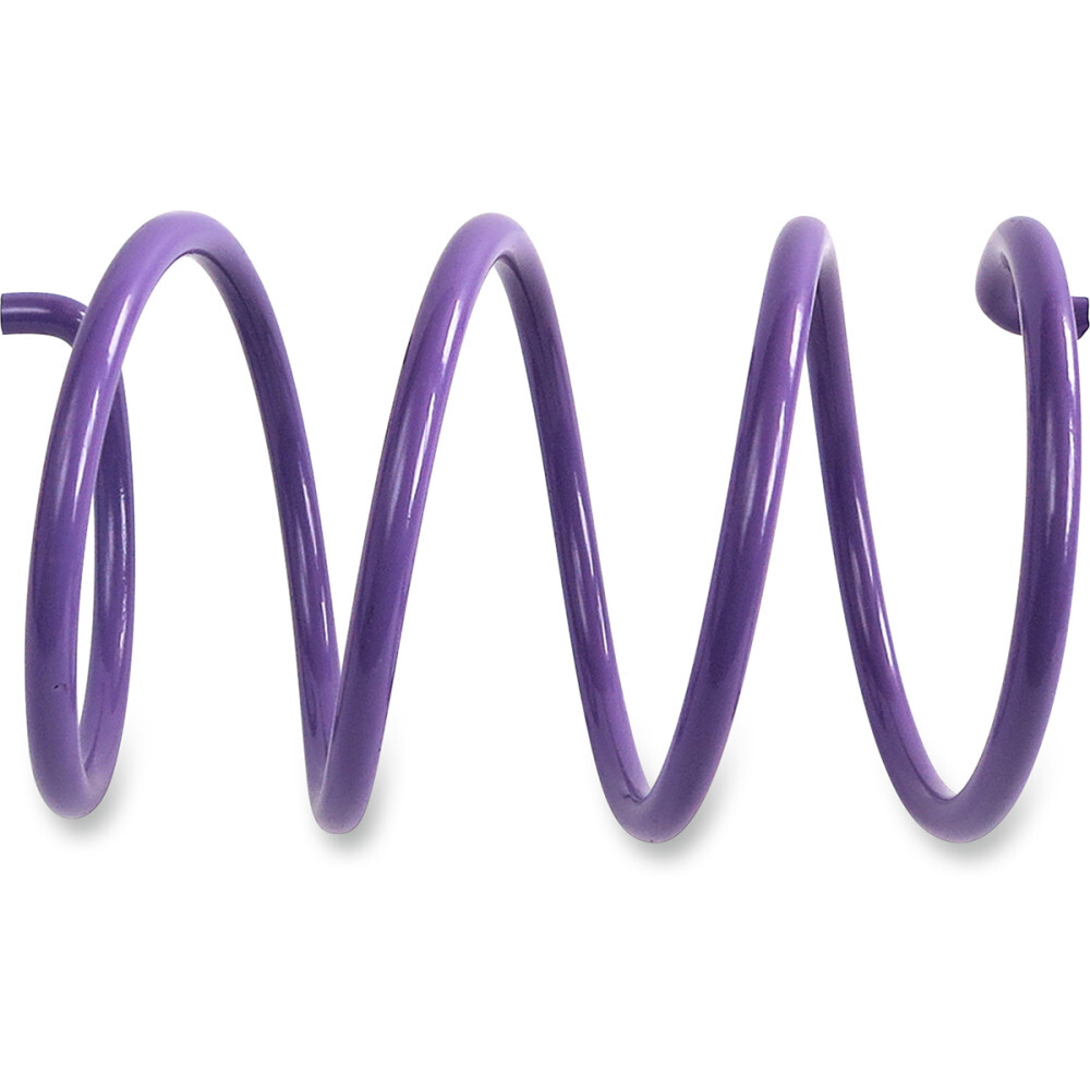 EPI Secondary Driven Clutch Spring, Purple | ACSS-5