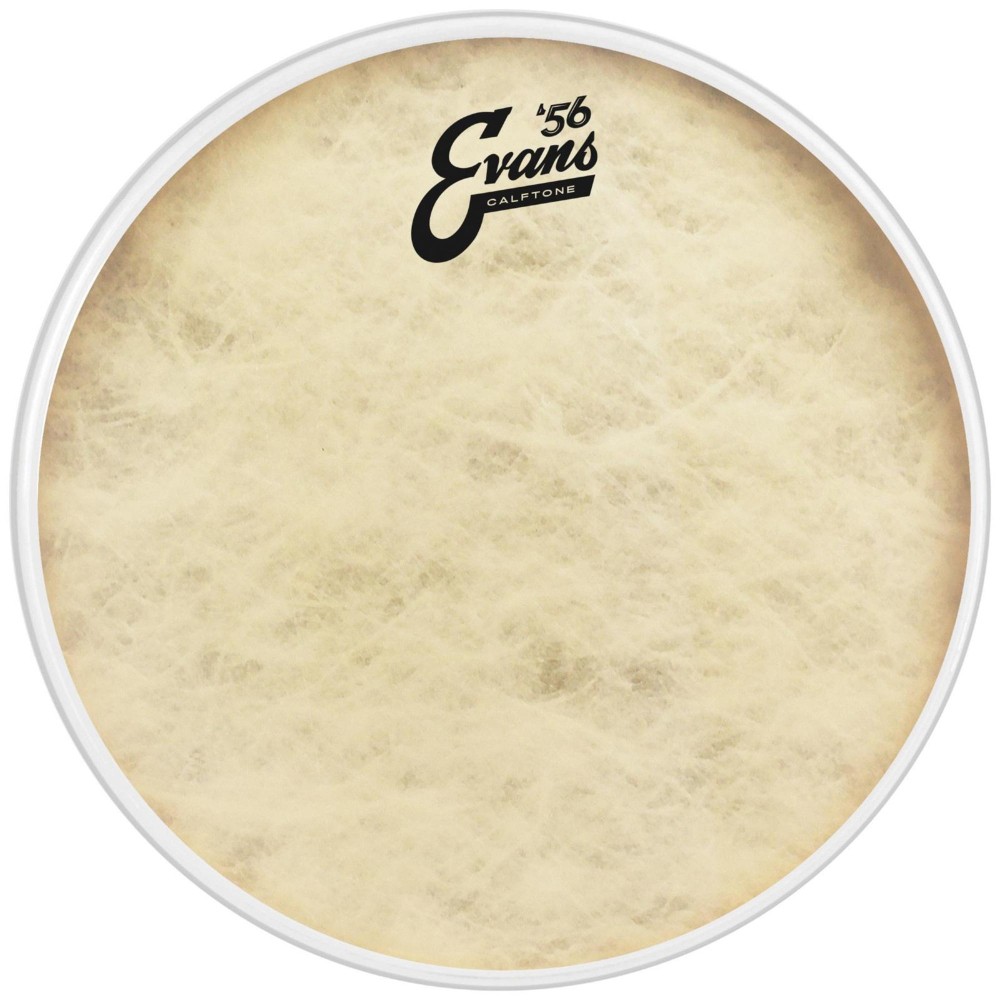 Evans Calftone Drumhead 15 in.