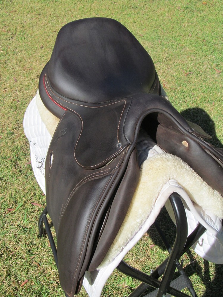 17.5" ANTARES EVOLUTION D buffalo close contact jumping saddle-2023 MODEL!!!!