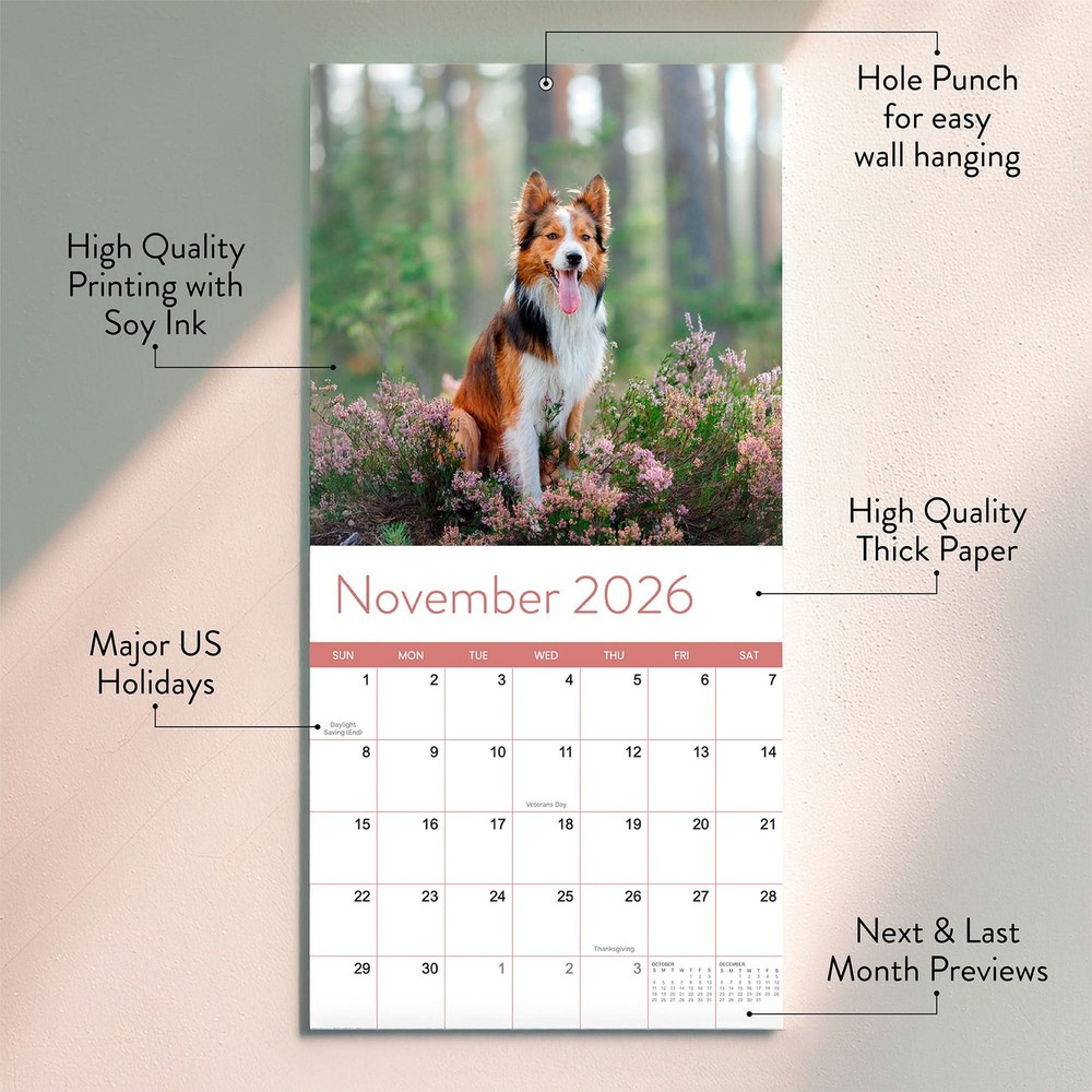 2026 Dogs Wall Calendar