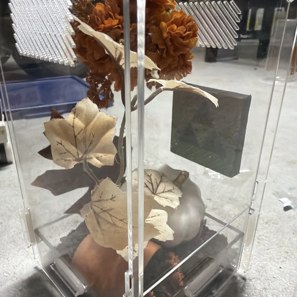 Fall Themed Jumping Spider Enclosure