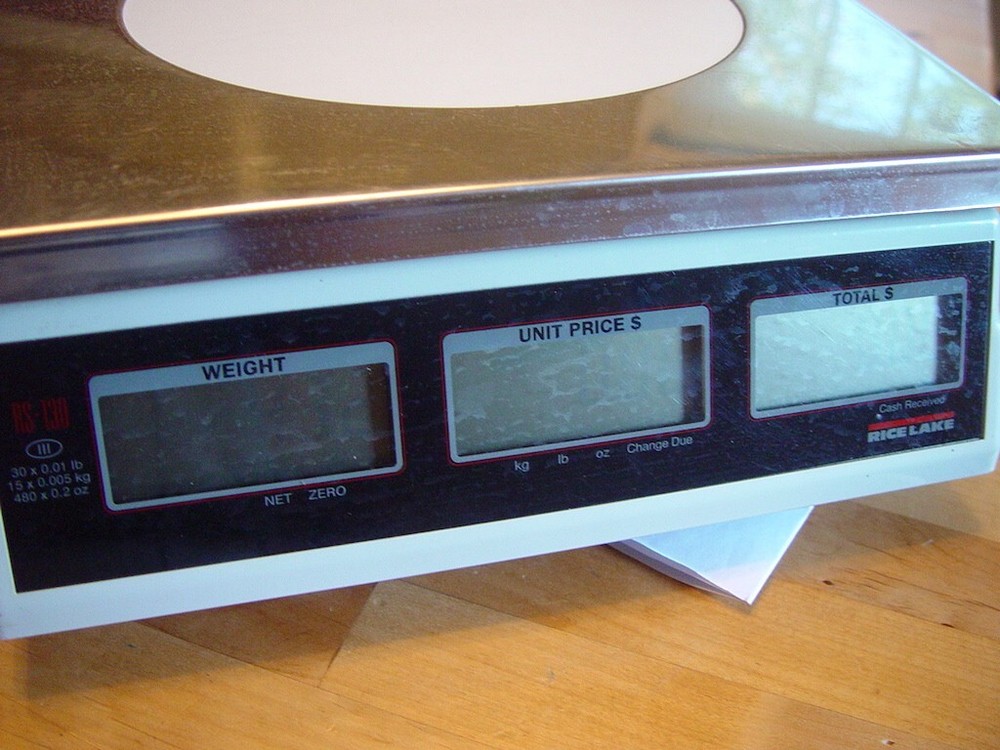 RICE LAKE RS-130 PRICE COMPUTING RETAIL SCALE