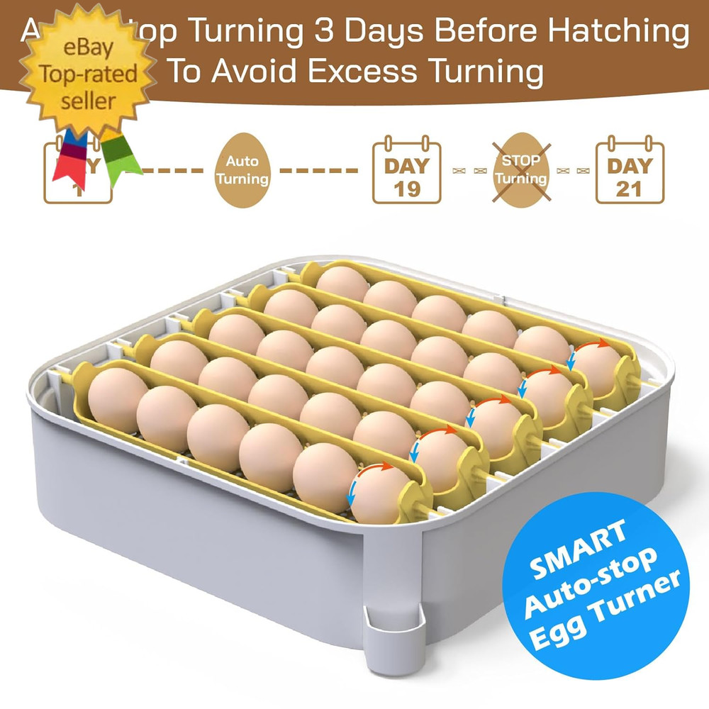 30 Egg Incubator with Humidity Display, Egg Candler, Automatic Egg Turner