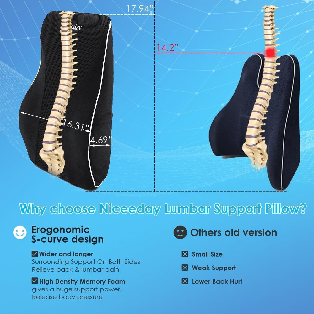 Niceeday Lumbar Support Pillow for Office Chair Car Back Support Pillow, Memory