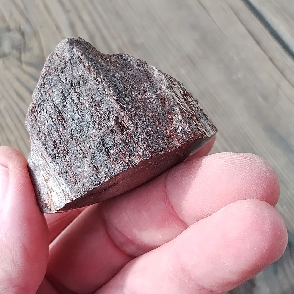 Polished Dinosaur Bone * Utah * 3.4 oz.