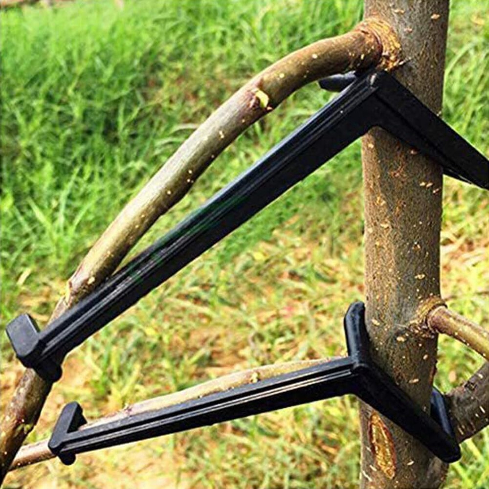 20Pcs Branch Limb Spreader Garden Tree Limb Spreader Fruit Branch Forms Branc...