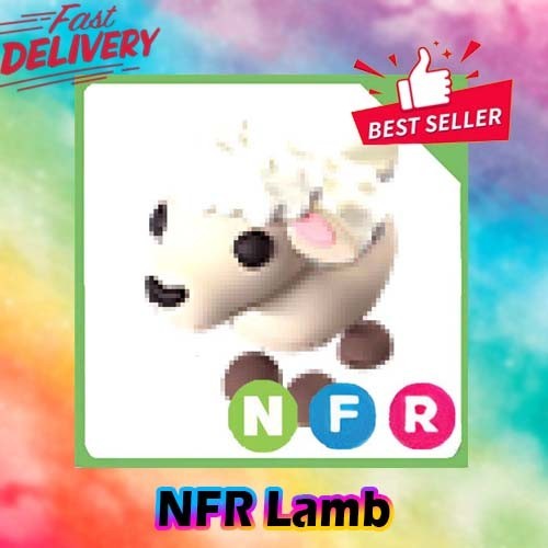 NFR Lamb *Adopt right now*