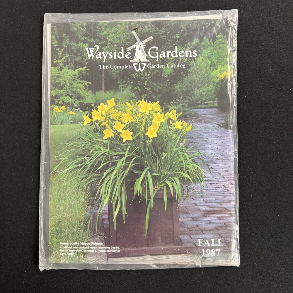 Kippenberger TASCHEN