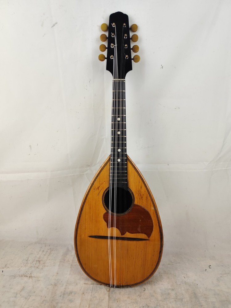 Mandolin 4/4 Rigaldi 曼陀林 만돌린マンドリン