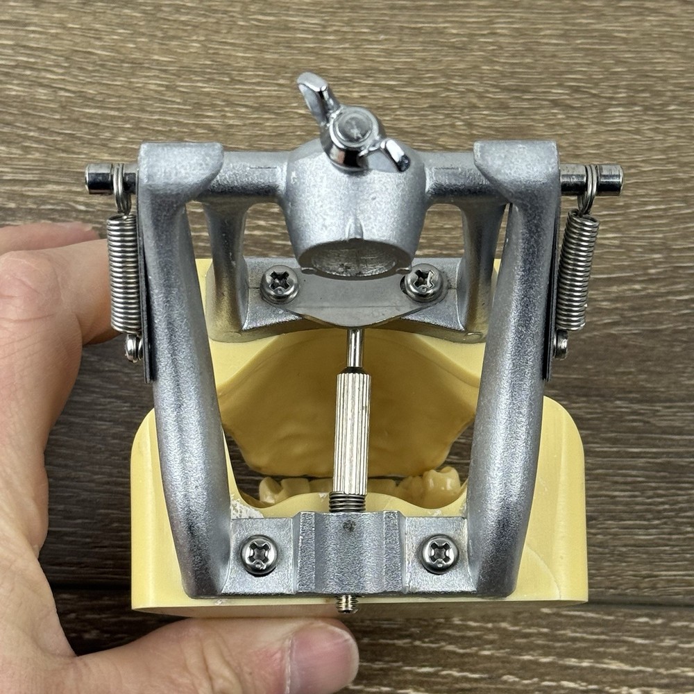 Kilgore Nissin TRM-480 Typodont Edentulous Partial Denture Model Practice