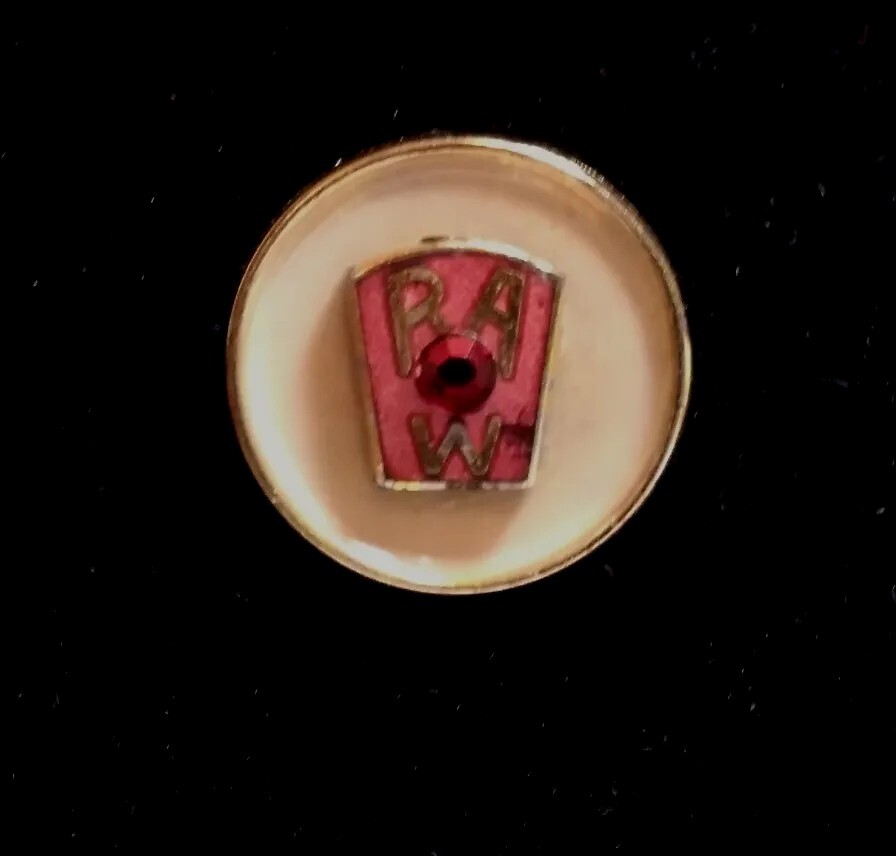 Shriners Fraternal Pin Tie Tack Pin Back