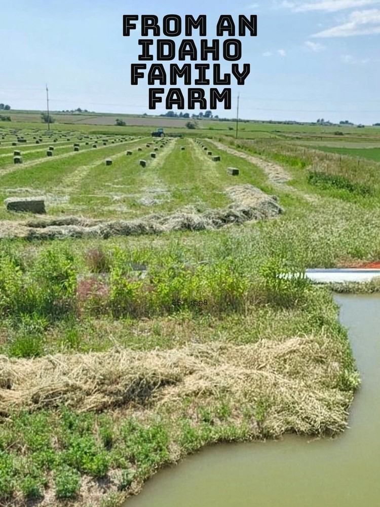 Alfalfa Hay for Rabbits & Small Pets 2 lbs