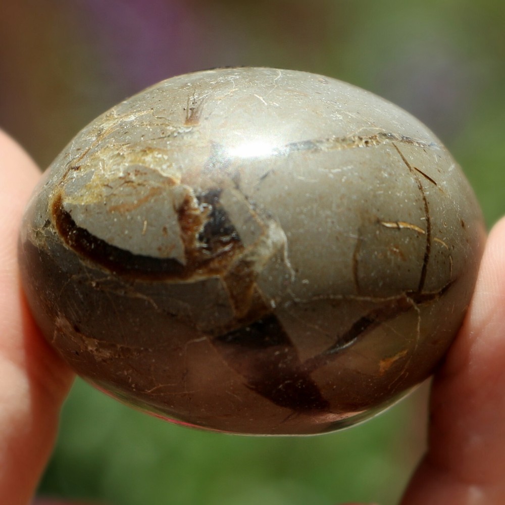 Polished Septarian Nodule (SEP99)