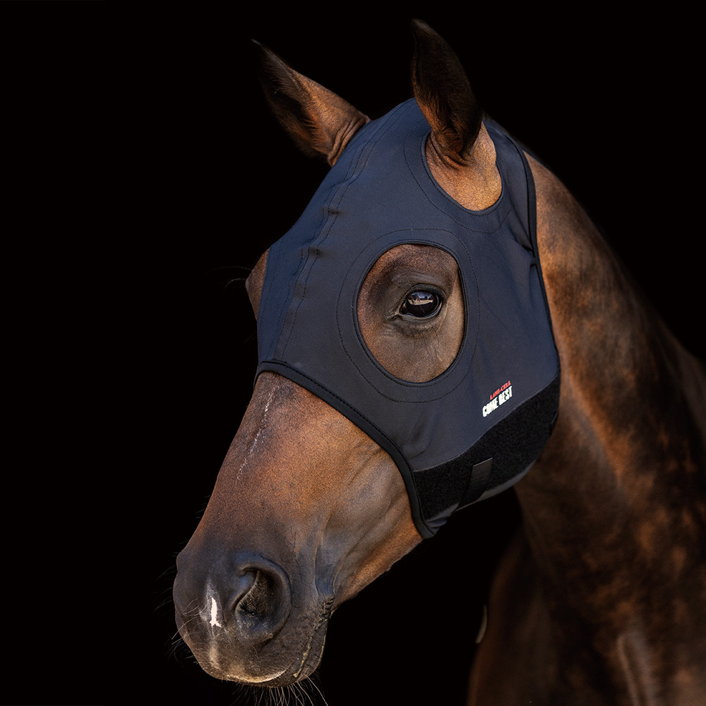 Titanium mask COME BEST no ears