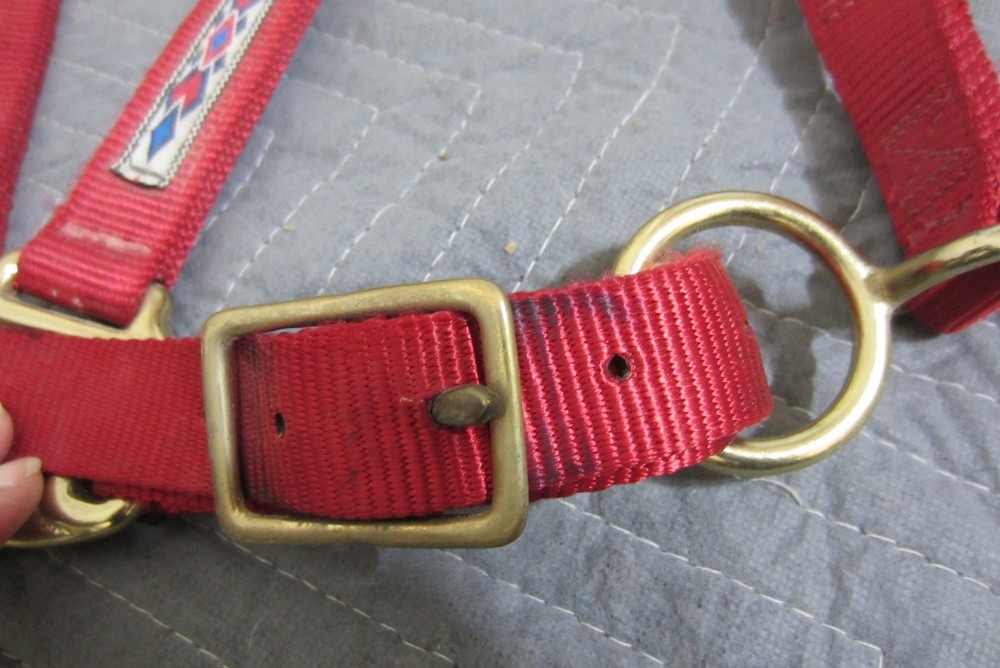 Triple E 1" Nylon Adjustable Horse Halter Red with Gold Hardware