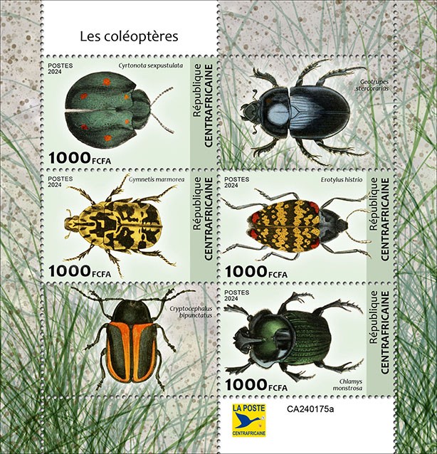 Beetles
