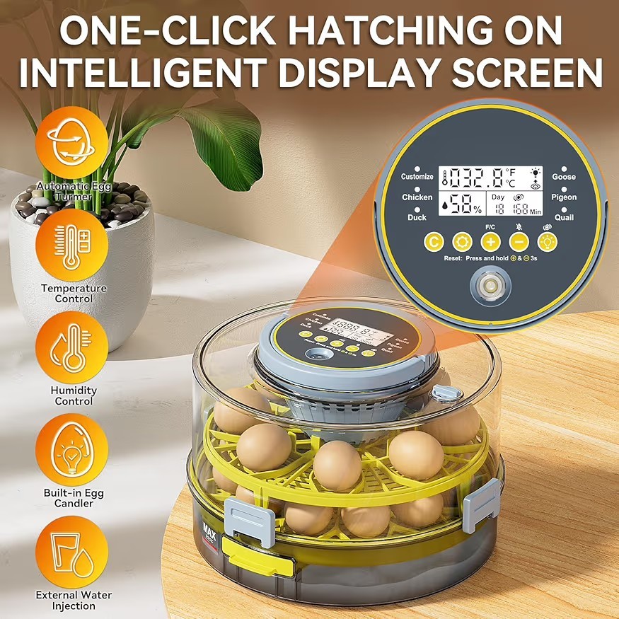 20 Egg Incubator with Auto Rotation, Temperature & Humidity Control