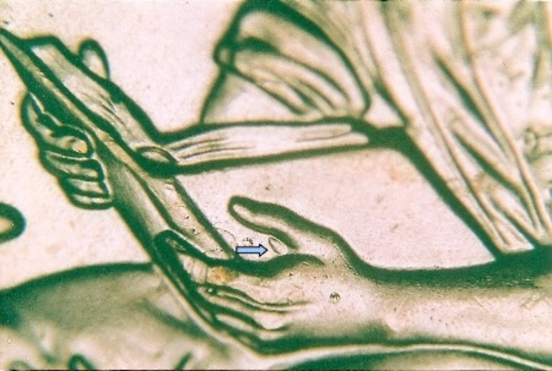 2009 P FY WDDR-066 Lincoln Formative Doubled Die Reverse Error