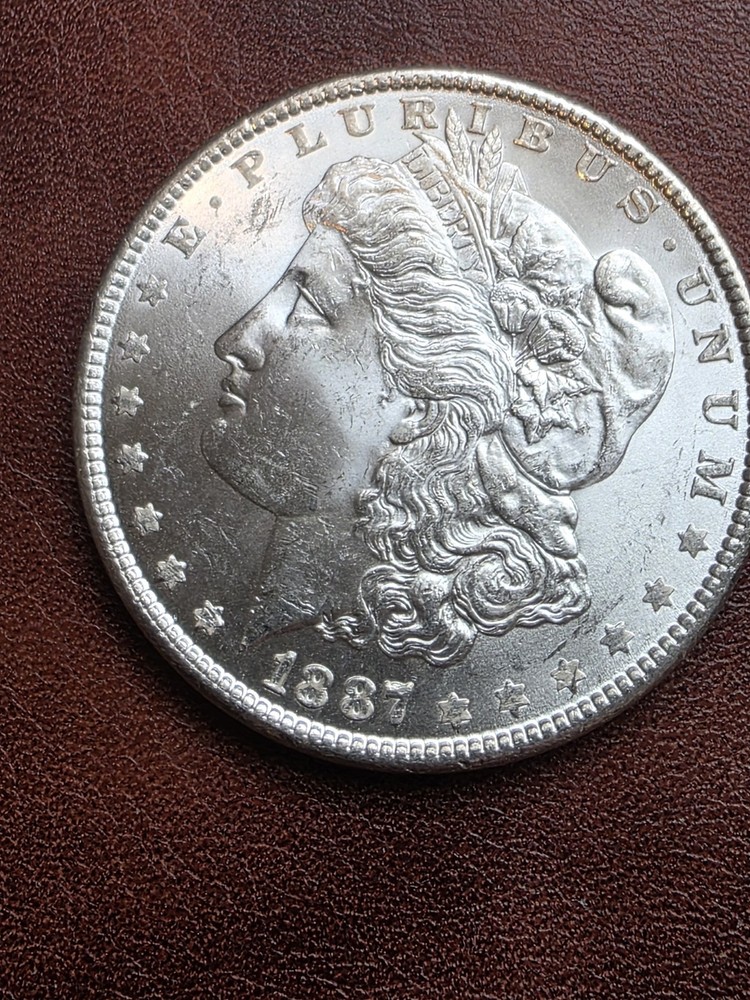 1887 & 1889 $1 Morgan Silver Dollar Blast White
