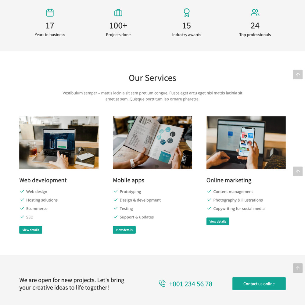 Starter Website Design with Free VPS Web Hosting and Installation