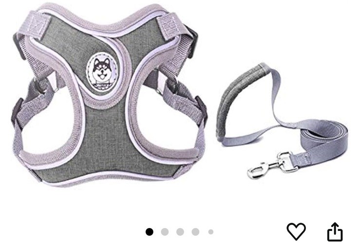 No pull dog camisole reflective small dog leash/harness