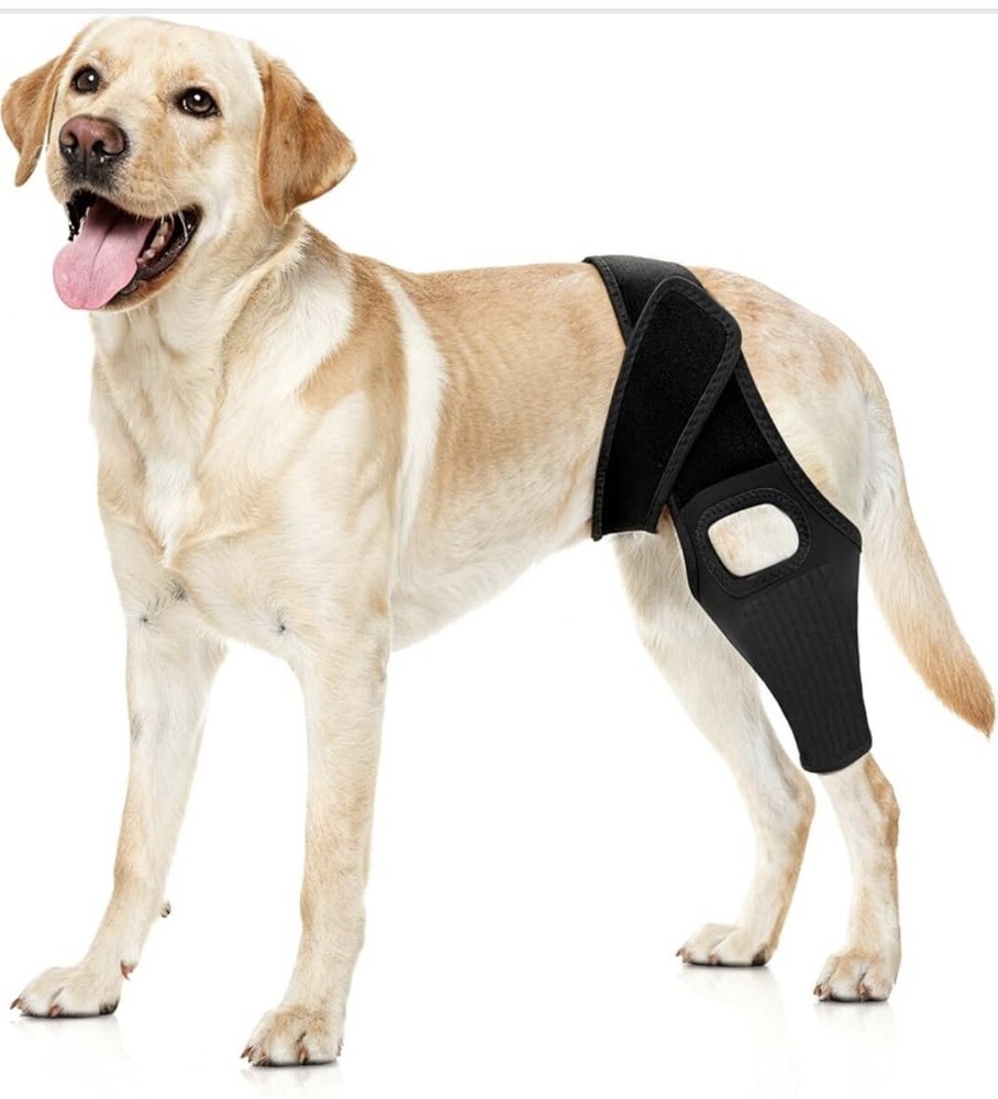 Rodillera Para Perros