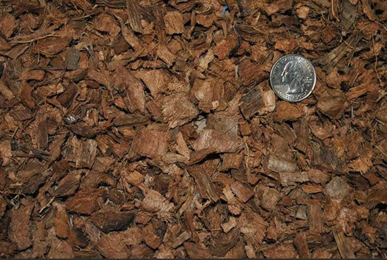 Prococo COCO CHIP - 4 PACK Coco Husk | Organic Coir - Reptile Plants soil