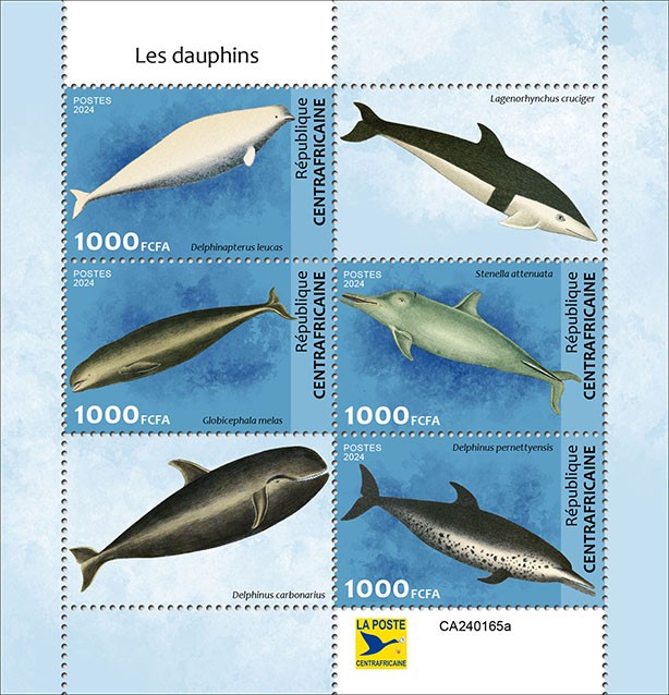 Dolphins