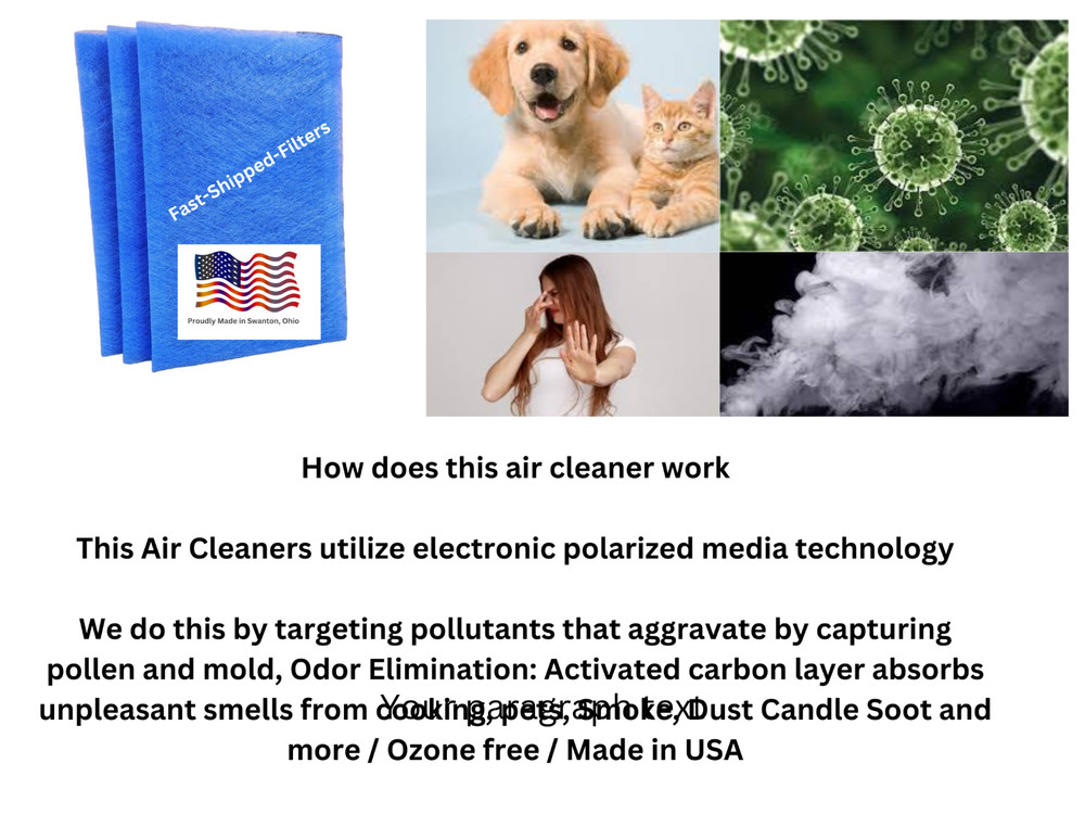 3 Pack Replacement Compatible Filter Captura Air Cleaner Filters
