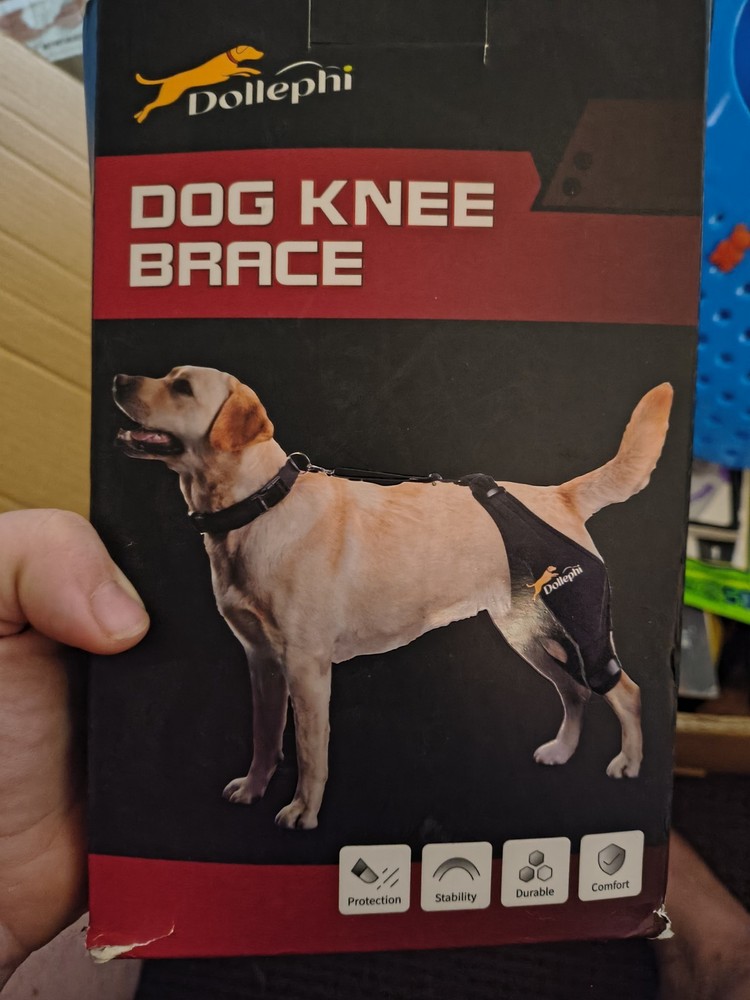 Knee Brace For dogs Back Leg