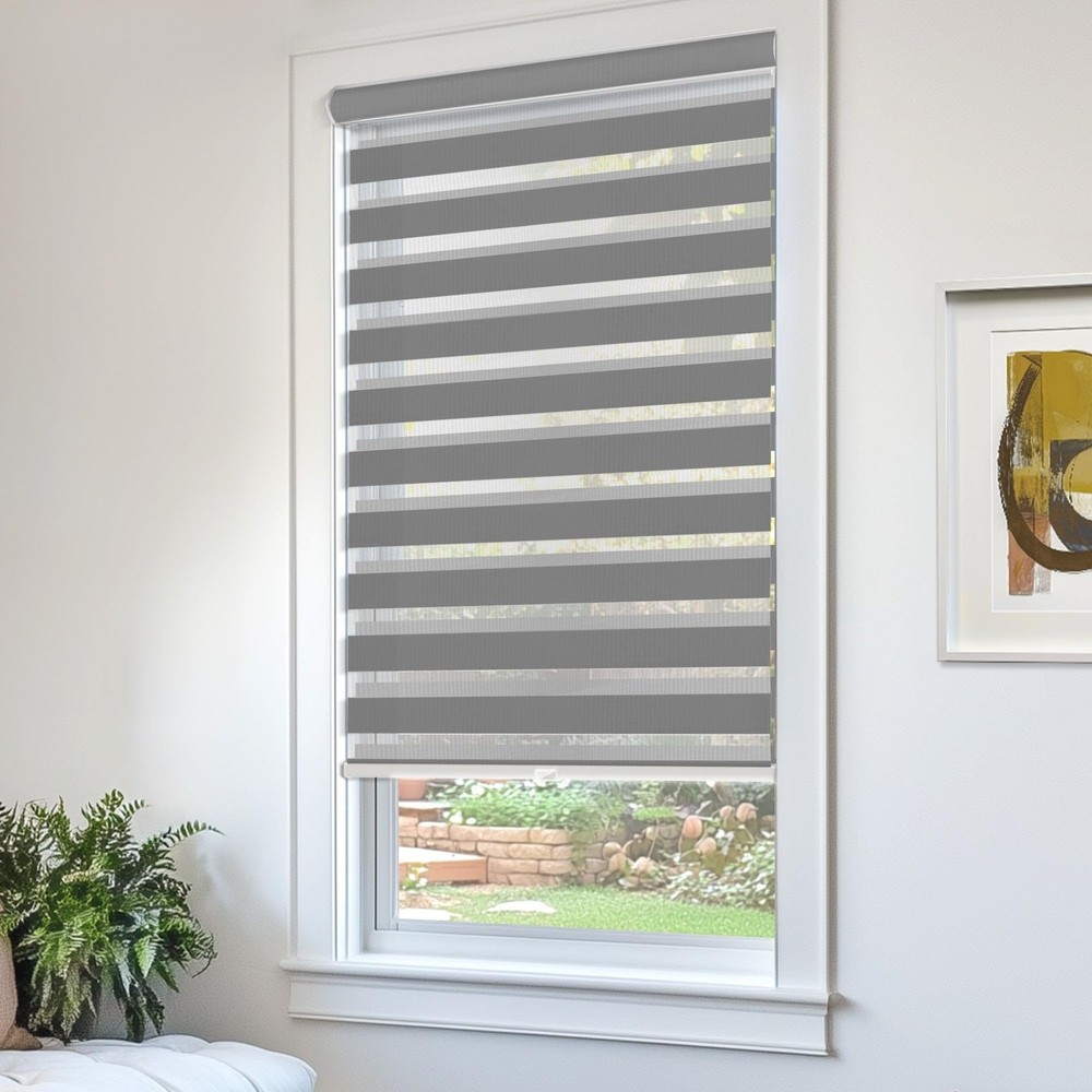 Zebra Blinds, Roller Window Shades, Blinds for Windows, Roller Shades for Win...