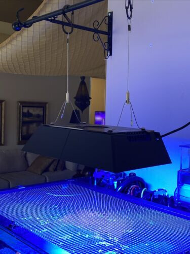 Ecotech Radion XR30 Shade