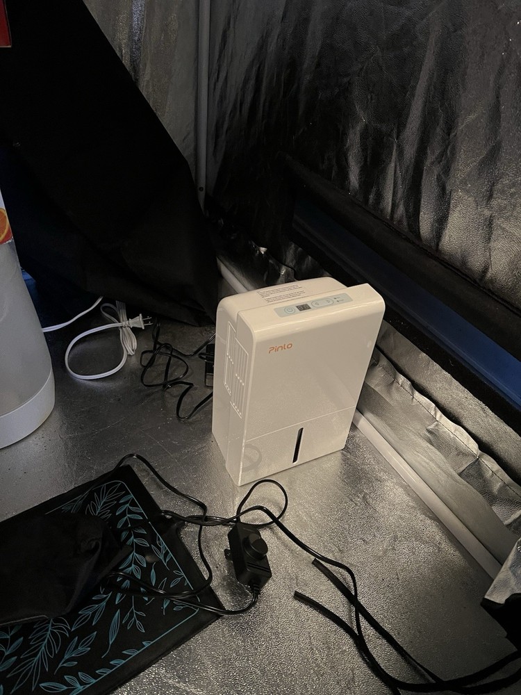 Grow Tent/kit