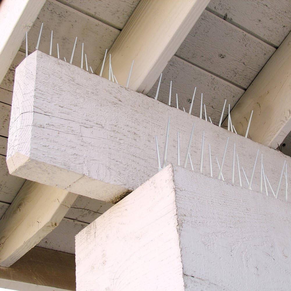 EnviroSpike Plastic Bird Spikes - Humane Deterrent Kit