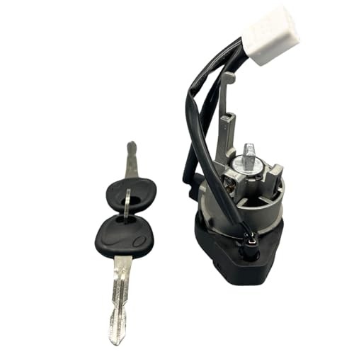 Ignition Lock Cylinder Switch W/ 2 Keys Compatible with 2010 2011 2012 2013