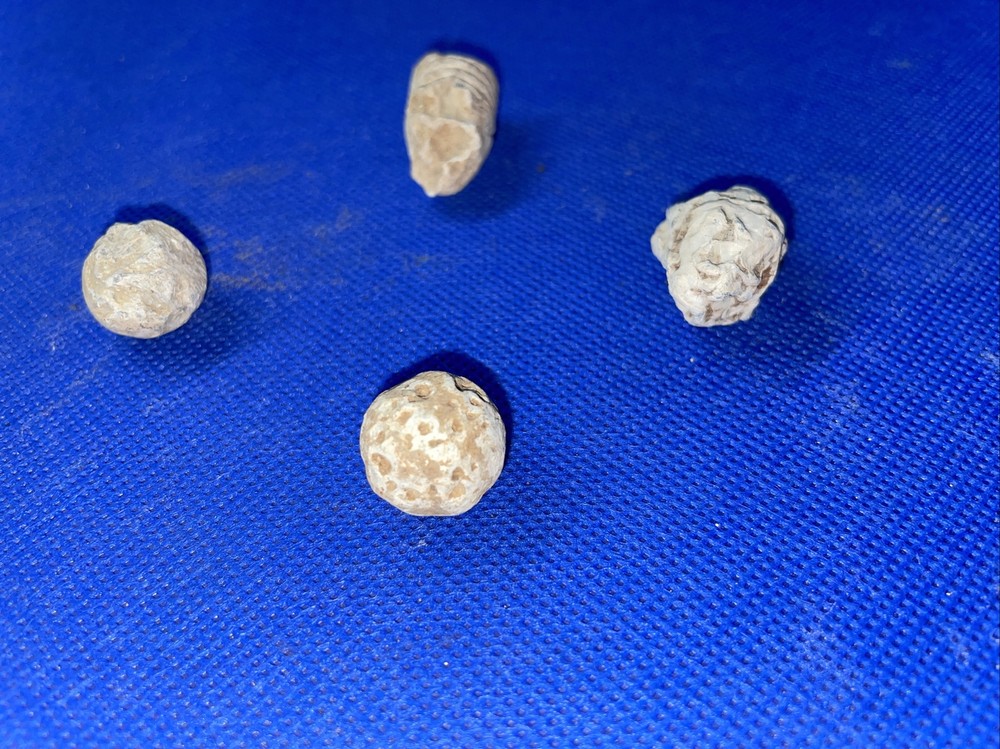 dug civil war relics