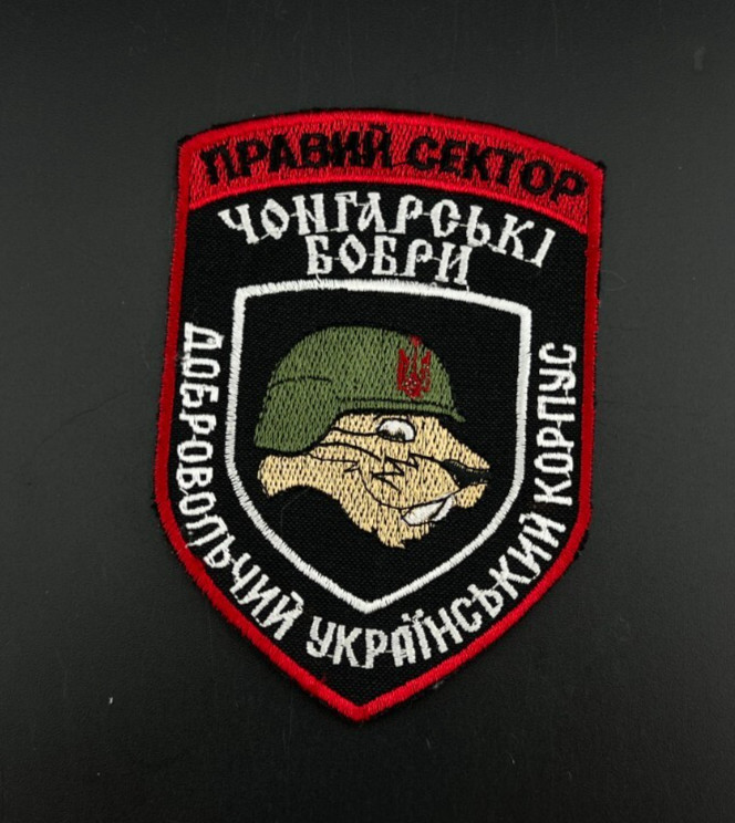 PATCH UKRAINE WAR 2014-2022 BATTALION - SECTOR