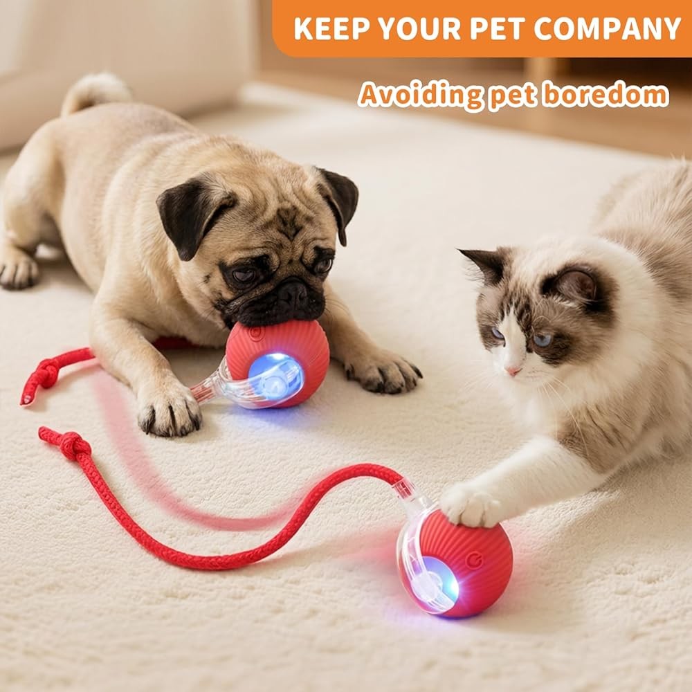 Interactive Cat Toys for Indoor Cats Smart Automatic Ball Rolling for