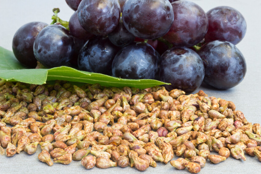 grape skin capsules - GRAPE SEED EXTRACT 100mg - polyphenols 3B