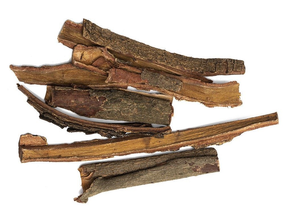 Catappa Tree Botanical Combo Pack