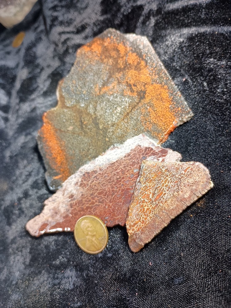 Dinosaur Bone Slabs Utah Rough 125 grams