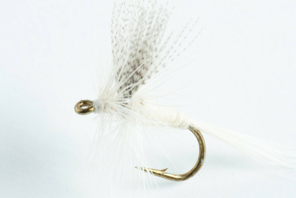 Light Cahill Dry Fly, 6 Pack