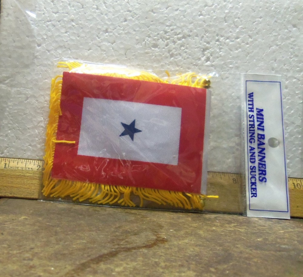 Blue Star Service Mini Banner