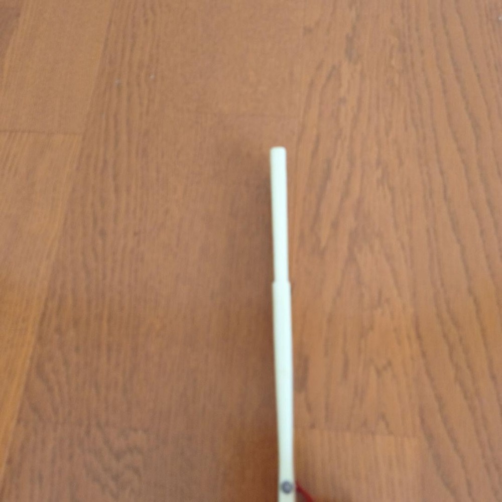 Folding Sensu Fan with tassel