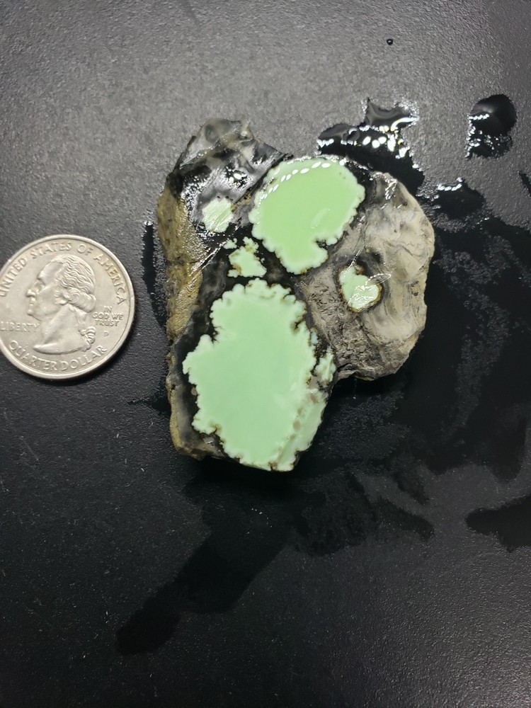 Nevada Saguaro Variscite Slab