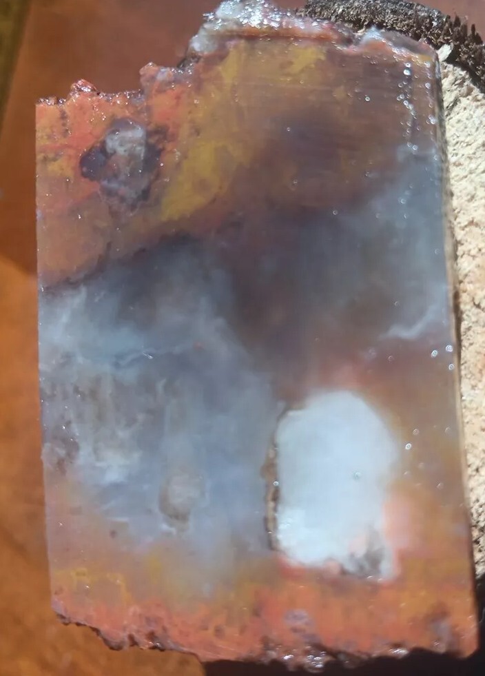 Volcanic Petrified Wood Limb Casting End Cut From Cube Utah See Cube