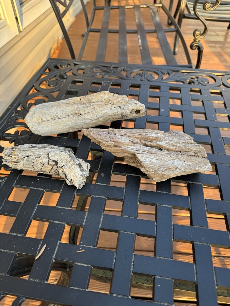 Driftwood