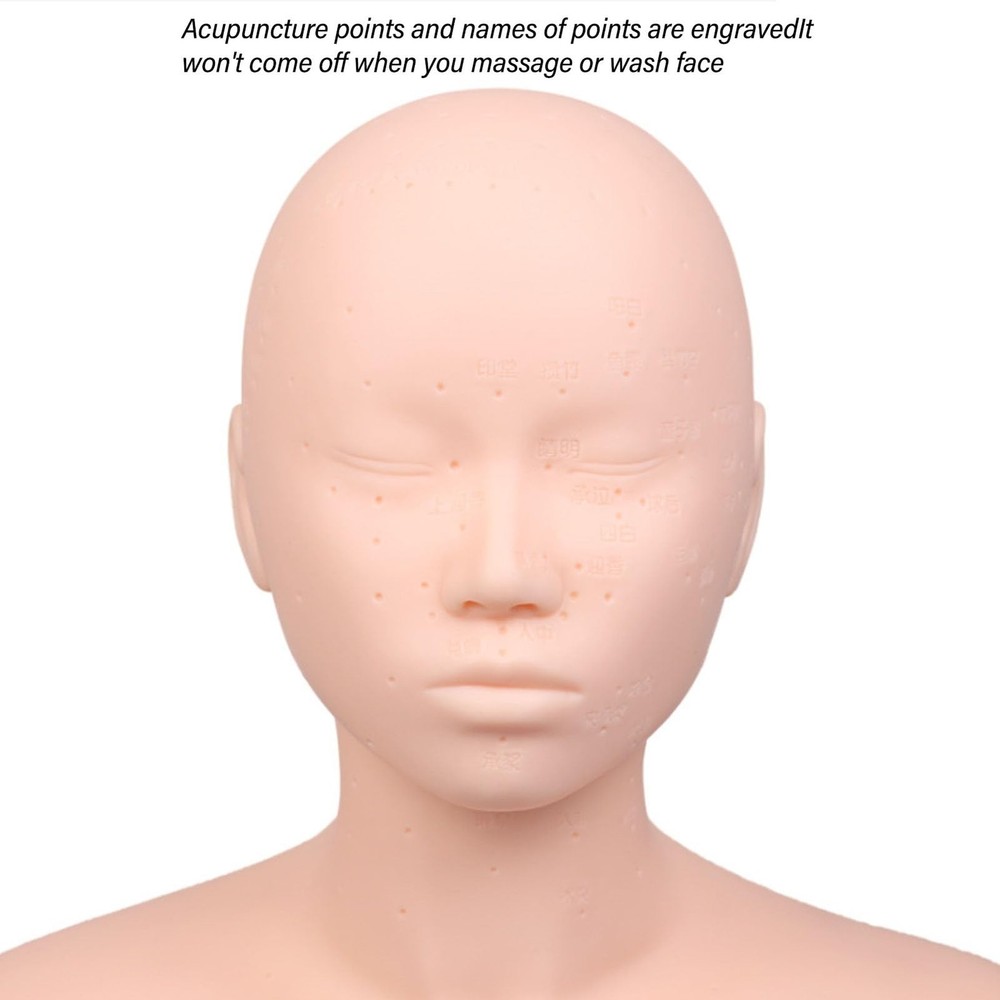 Head with Shoulders, Acupuncture Points, Soft PVC, Wig Stand